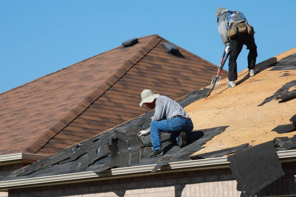 Best Sheet Metal Roofing  in Avodo Heights, CA