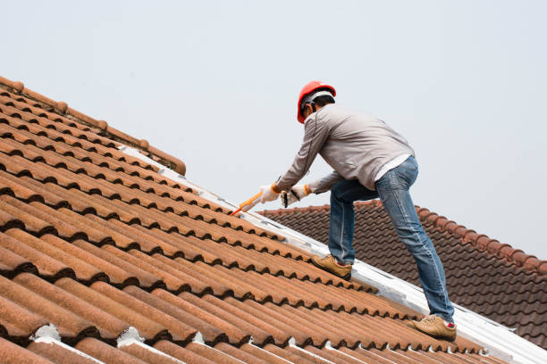Best Cold Roofs  in Avodo Heights, CA