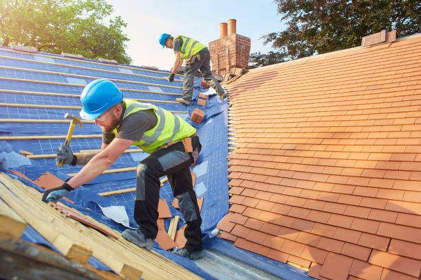 Best Roof Insulation Installation  in Avodo Heights, CA